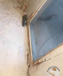 Tragiczne warunki w szpitalu. "Gorzej niż w piwnicy"