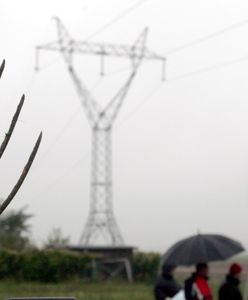 W jej głowę wbiły się widły. Lekarze nie dawali jej szans