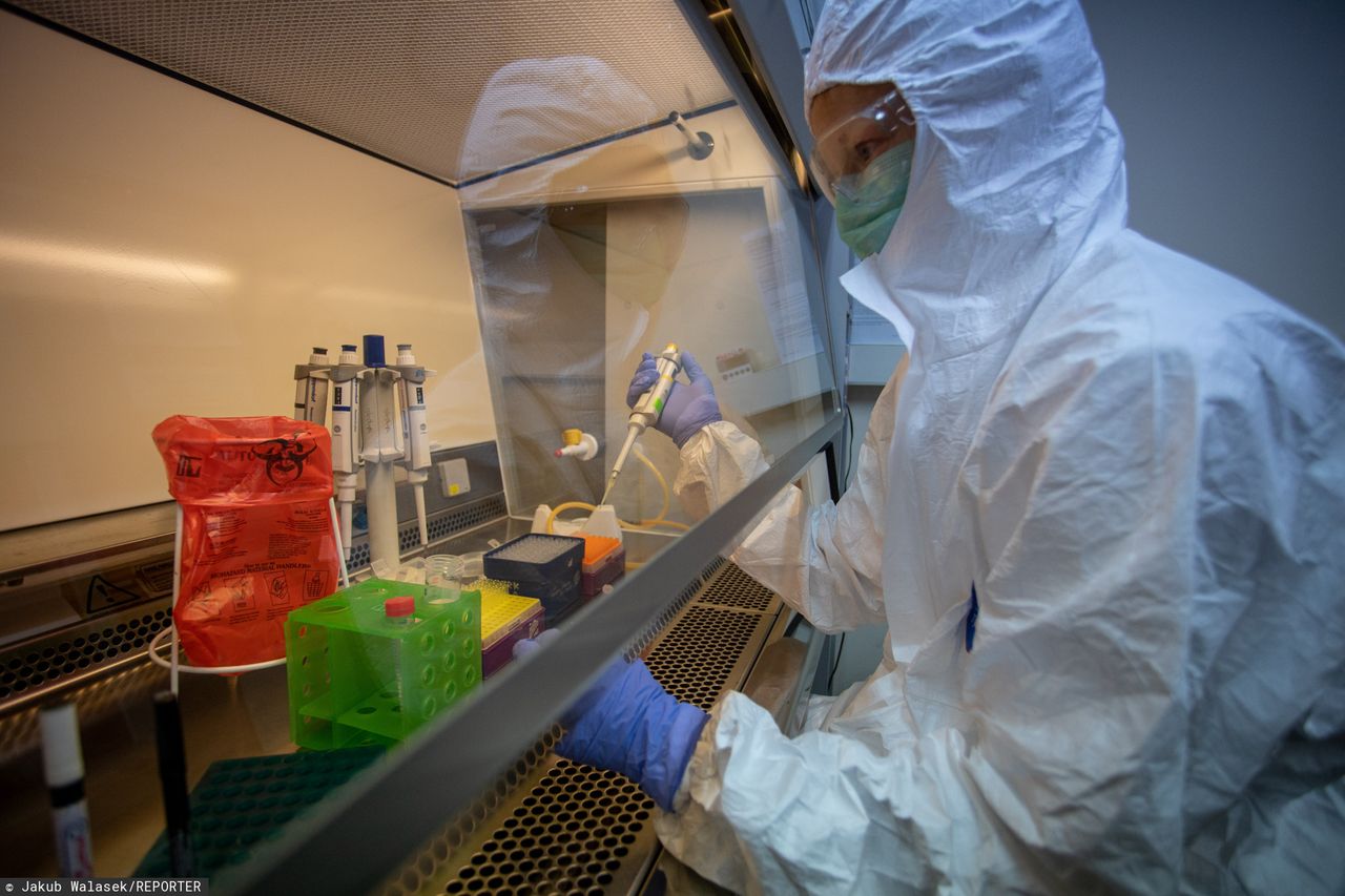Polski test na koronawirusa ze wszystkimi pozwoleniami. Jest o wiele tańszy niż testy z zagranicy 