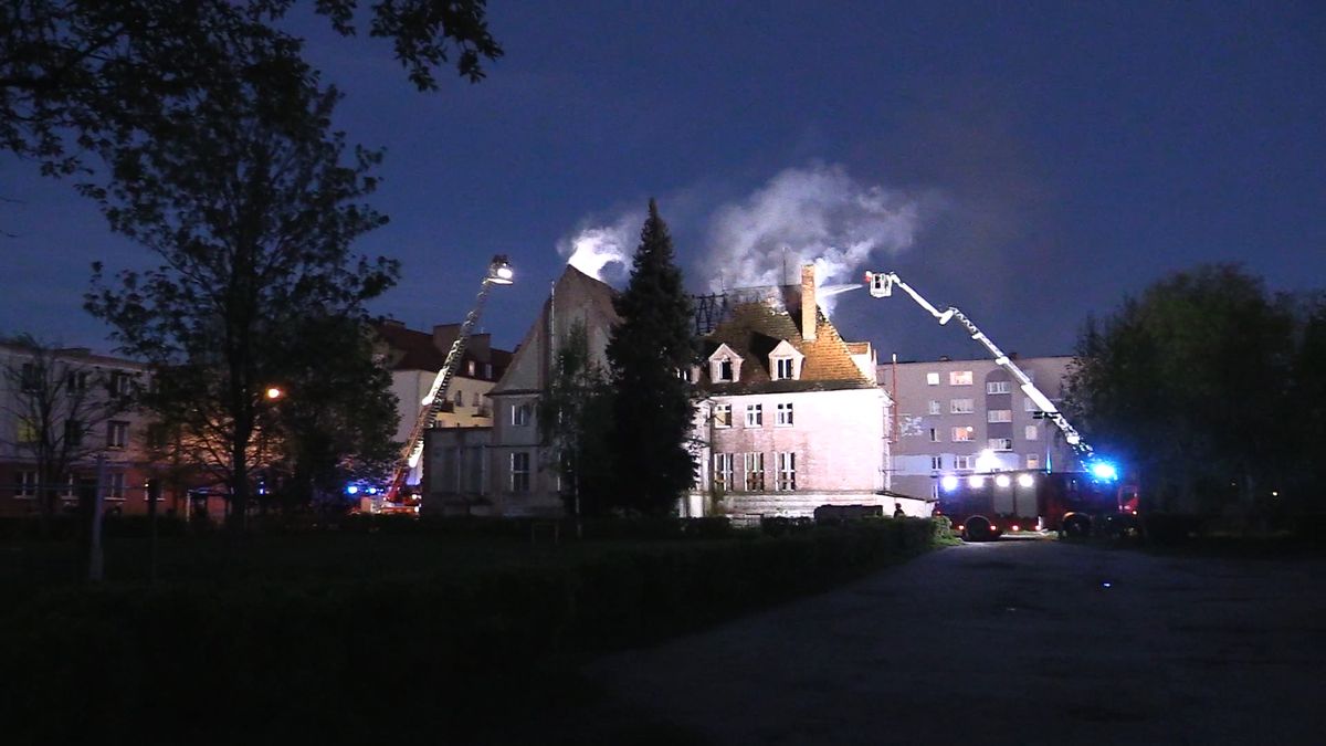 zdjęcie