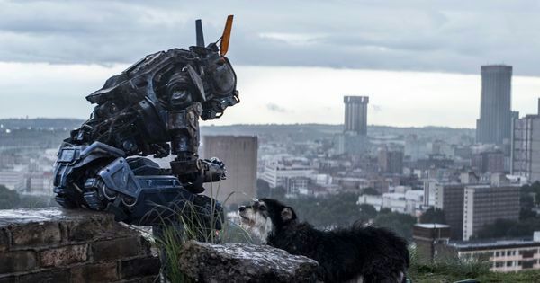 "Chappie": Kończ waść, wstydu oszczędź [RECENZJA BLU-RAY]