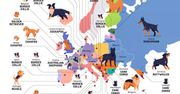 Jaka rasa psa jest najpopularniejsza w danym europejskim kraju? Oto top Starego Kontynentu