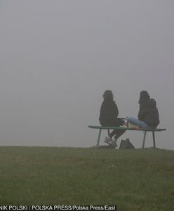 Ostrzeżenia IMGW. Alerty dla czterech województw przed silną mgłą