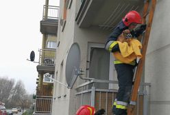 Wyrzucili na balkon szczeniaka, bo obgryzał meble. Przed wychłodzeniem uratowali go strażacy