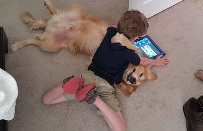 Dlatego pies to najlepszy przyjaciel człowieka