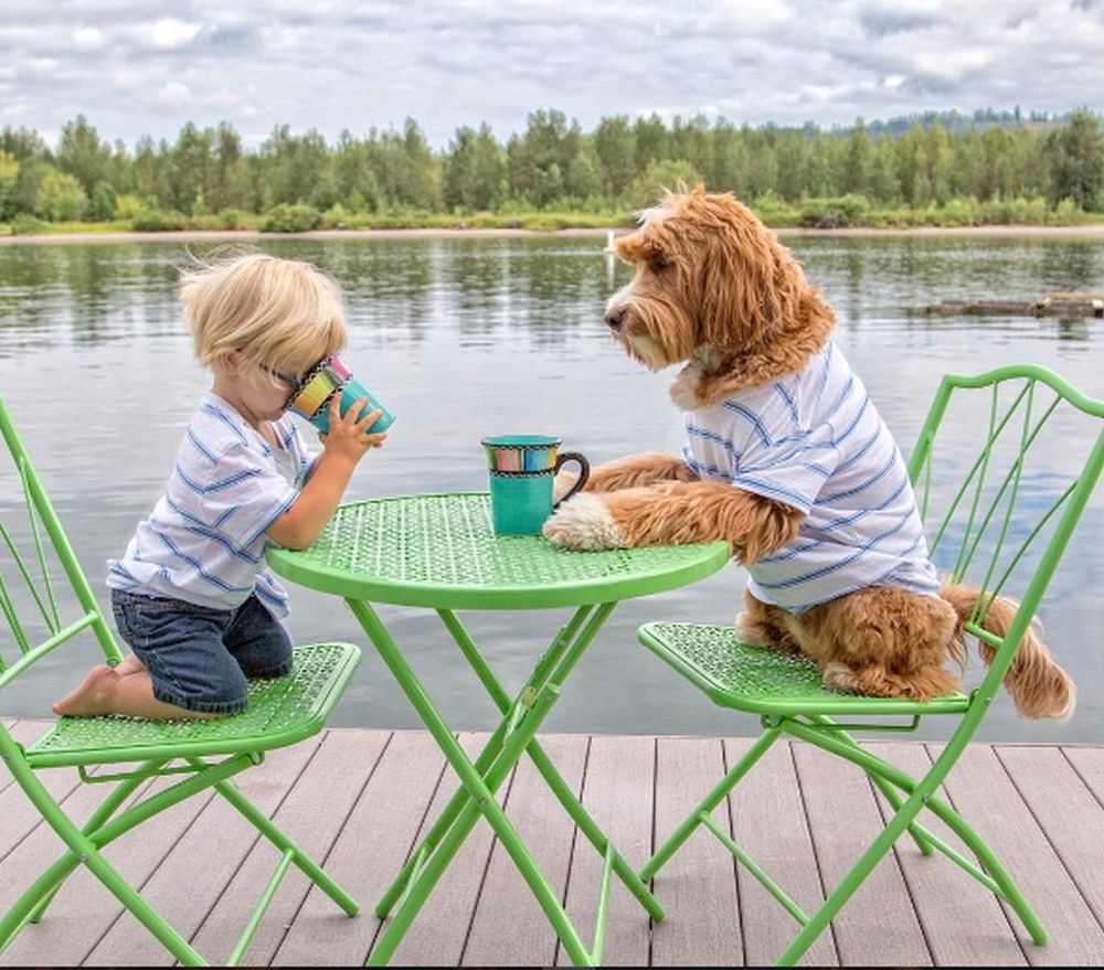 Nierozłączni przyjaciele podbijają sieć