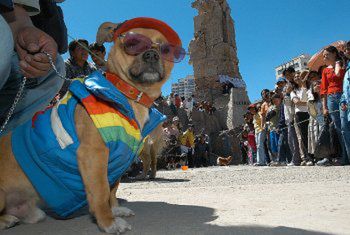Na psa urok w Boliwii