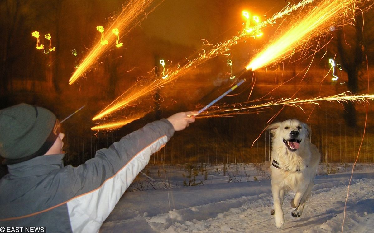 Odpalasz fajerwerki w Sylwestra? Warto, abyś to przeczytał