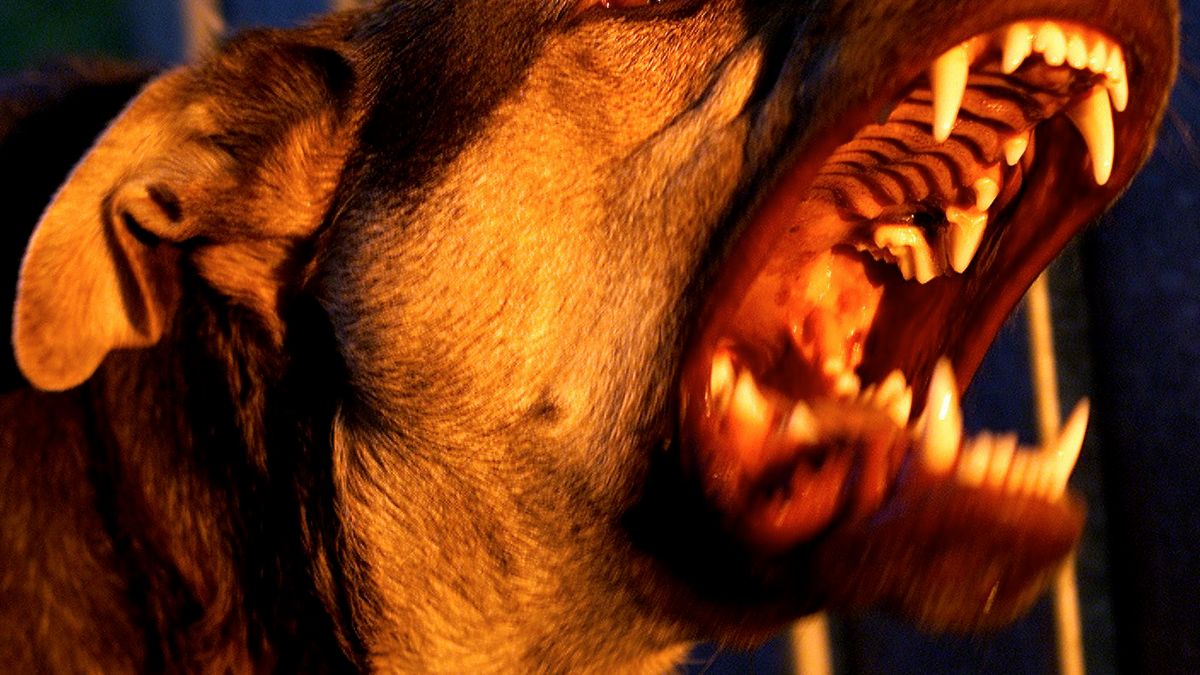 Zdjęcie ilustracyjne.