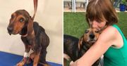 Uratowała psa pewną przed śmiercią. Odpłacił się, wykrywając u niej raka