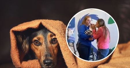 Właścicielka odnalazła psa po 12 latach. Wzruszające nagranie