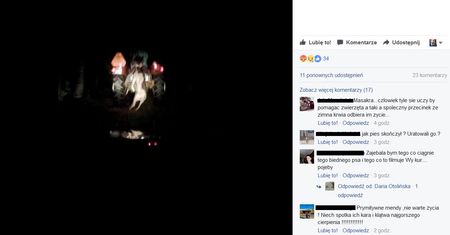 Wiózł psa na "haku" traktora. Policja szuka tego kierowcy