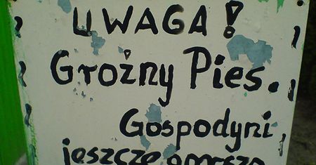 Śmieszne zdjęcia Internautów