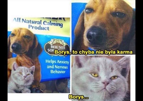 Borys