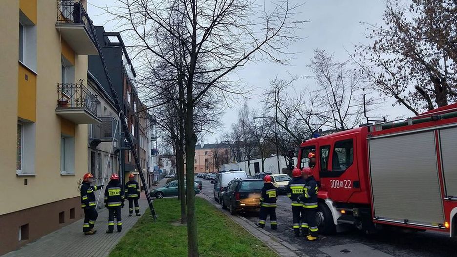 Pies przebywał na balkonie jednego z warszawskich bloków na Pradze Południe
