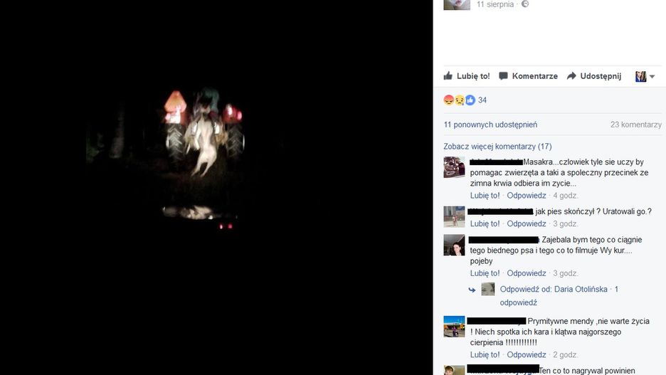 Pies wieziony na "haku" traktora