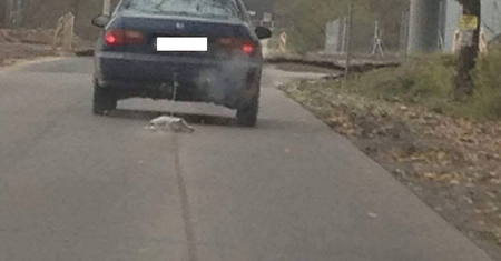 Ciągnął psa za samochodem ponad dwa kilometry