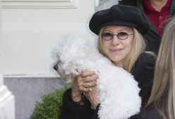 Barbra Streisand sklonowała swojego psa. Podwójnie