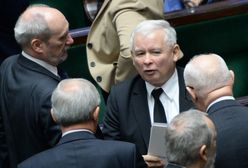 Zwierzęta zabijane na futra podzielą PiS? W grę wchodzą duże pieniądze