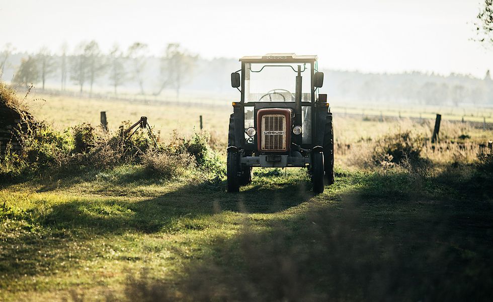 Większość elektoratu PiS to mieszkańcy wsi. 