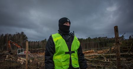 TYLKO W WP. Rżnąć, kopać, betonować. PiS dostał od Polaków zielone światło (BADANIE)