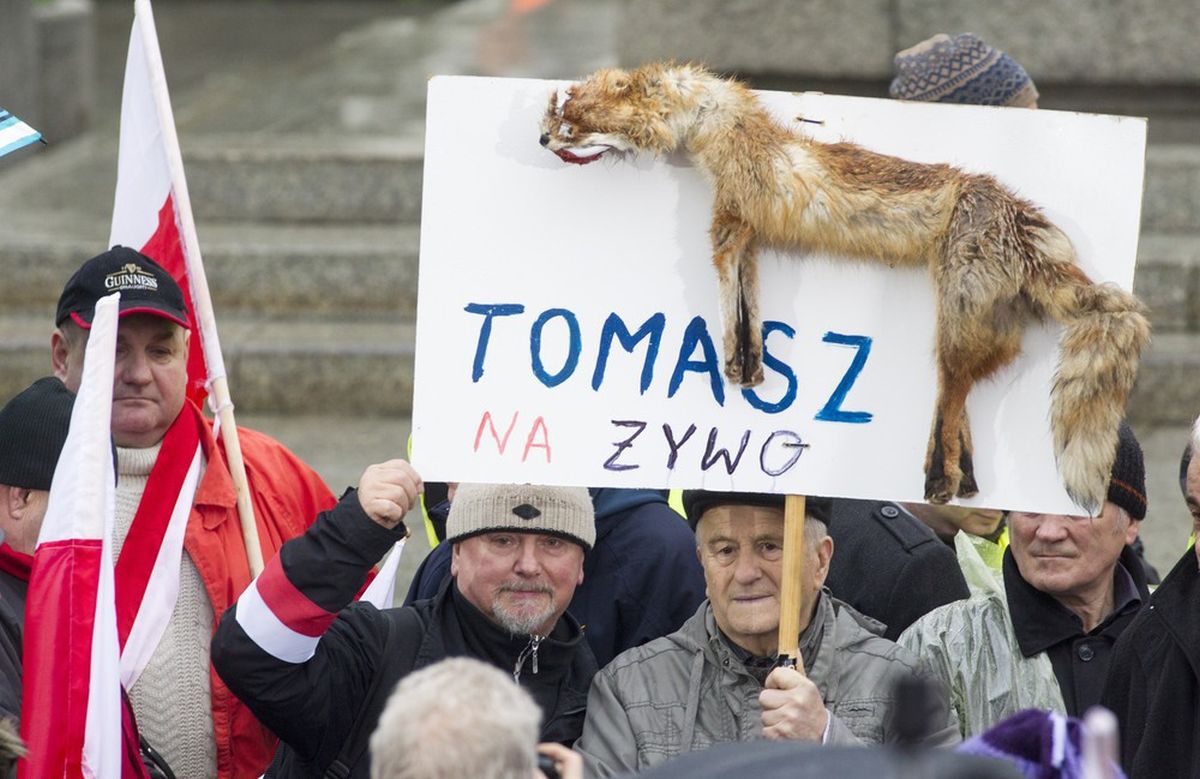 Weekend minął pod znakiem demonstracji. Zobaczcie najlepsze memy