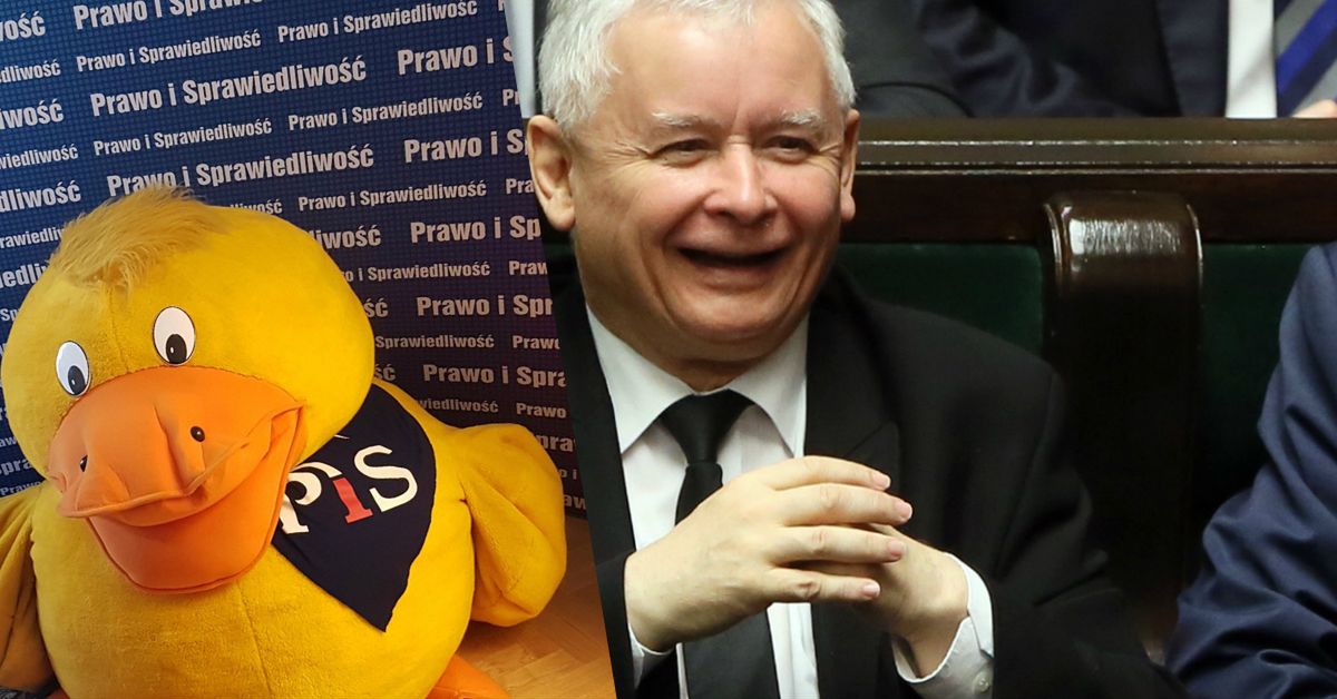 PiS zaprasza na noc muzeów. Dla chętnych mają... wyjątkowy prezent