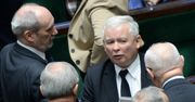 Zwierzęta zabijane na futra podzielą PiS? W grę wchodzą duże pieniądze