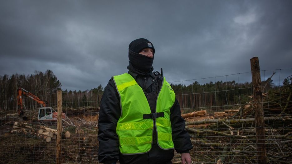 20 lutego 2019 roku. Wycinki drzew w okolicach Skowronek pilnowali policjanci i strażnicy leśni.