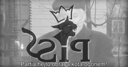 Kot zamiast orła. PO uderza w spocie w PiS, ten nie pozostaje dłużny