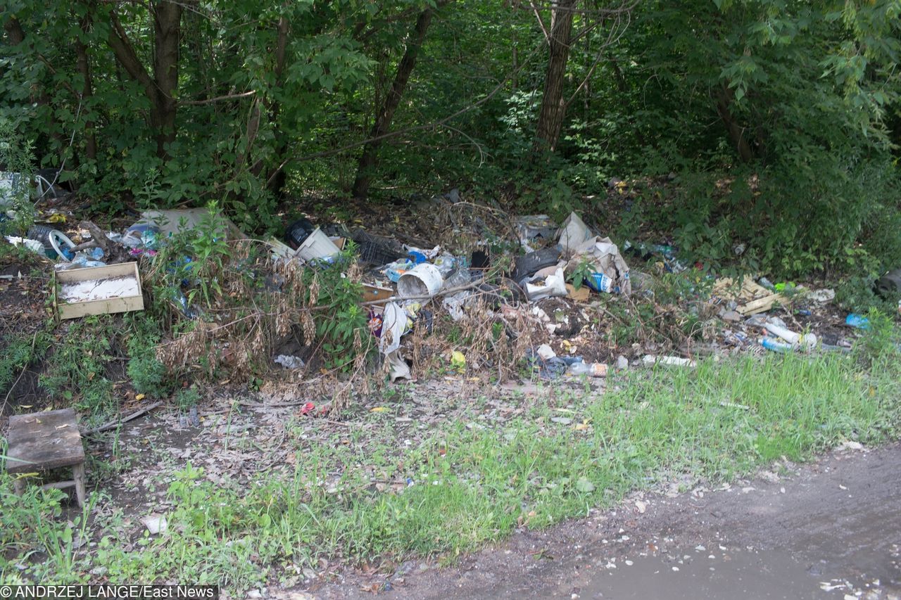Pułtusk: Policjanci odnaleźli nielegalne wysypisko śmieci