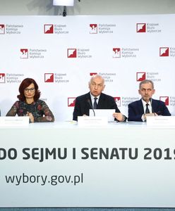Oficjalne wyniki wyborów parlamentarnych 2019. PKW podało dane ze 100 proc. komisji