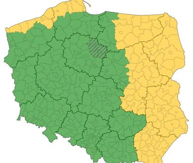 Alert pogodowy. Silny wiatr i intensywne deszcze z burzami nad Polską