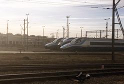 Pendolino wracają na tory po publikacji WP. Ale zagadka obtłuczeń nie została wyjaśniona
