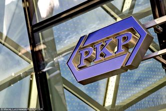 Dzień dziecka 2019 z PKP. Darmowe bilety dla najmłodszych i tańsze podróże dla całej rodziny