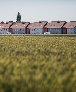 "Idę z flaszką do sąsiada, a on nie pije". Tak się żyje na osiedlu Mieszkanie+