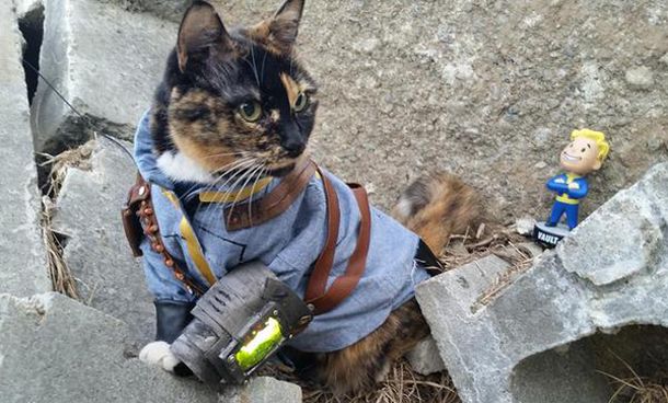 Co wspólnego mają koty z radiem w Fallout 4?