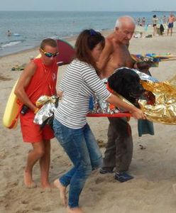 Niezwykła interwencja ratowników na plaży. Uratowali psa, który miał zawał