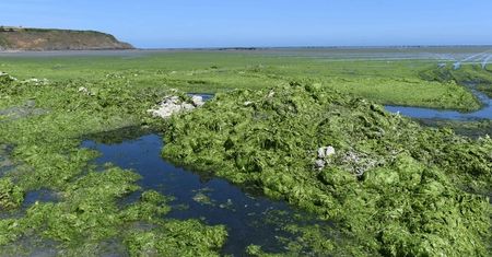 Francja zamknęła plaże. Nawet spacer grozi śmiercią