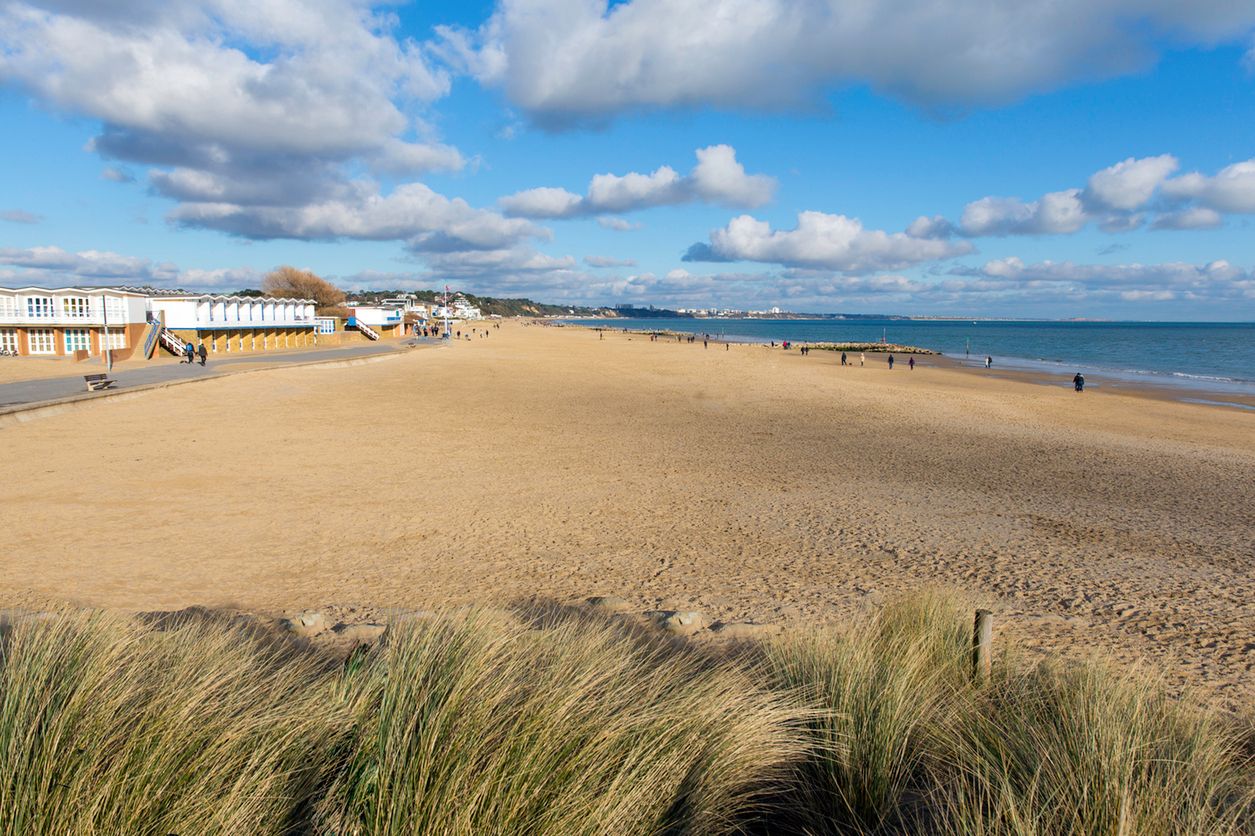 Plaża Studland, Wielka Brytania