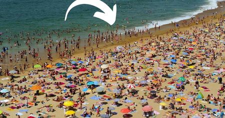 Wydasz grubą forsę nie tylko na wyjazd, ale i za parawan na plaży. Prawnik rozwiał wątpliwości