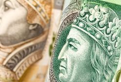 Złoty najmocniejszy od dwóch lat do dolara. Paliwa powinny stanieć