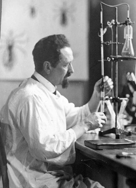 Rudolf Weigl: Wszy, tyfus i cztery stracone szanse na Nobla