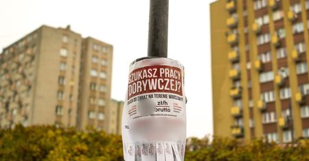 Praca sezonowa. Uwaga na fikcyjne ogłoszenia