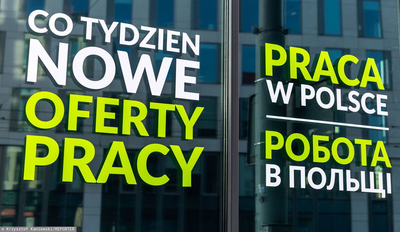 Prawda o zarobkach Ukraińców w Polsce. Ponad połowa co miesiąc dostaje ponad 2,5 tys zł do ręki