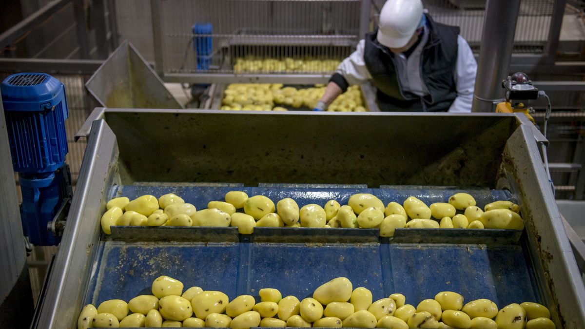 Zarobki nie zawsze idą w parze z wydajnością .