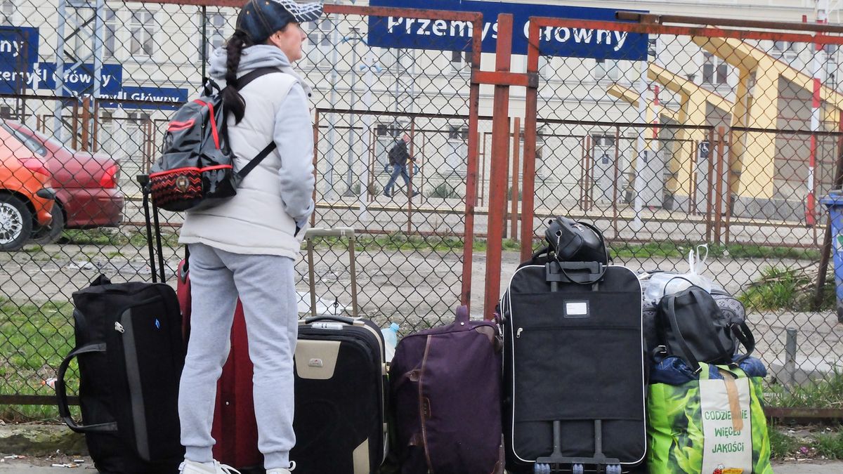 Pracodawcy mają nadzieję, że gdy wszystko zacznie wracać do normy, pracownicy z Ukrainy wrócą