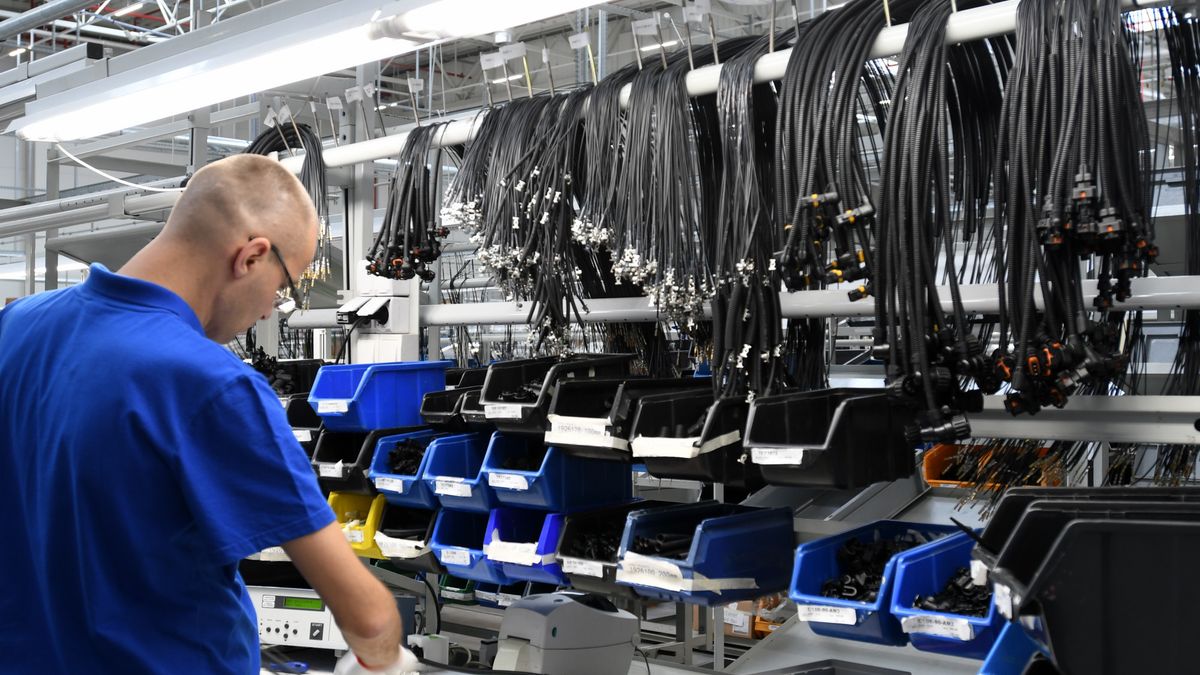 Zarobki w Polsce systematycznie rosną.