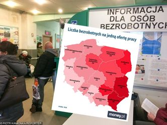 Oferty pracy. W urzędach na jedną przypada nawet kilkudziesięciu bezrobotnych
