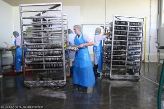 Bezrobocie w Polsce. Mamy nowy rekord